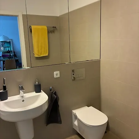 Civic Centre Flat * Brassó