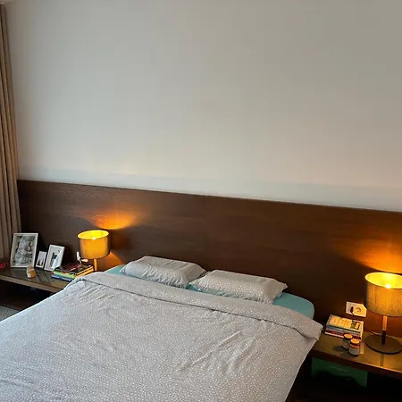 Apartman Civic Centre Flat Brassó